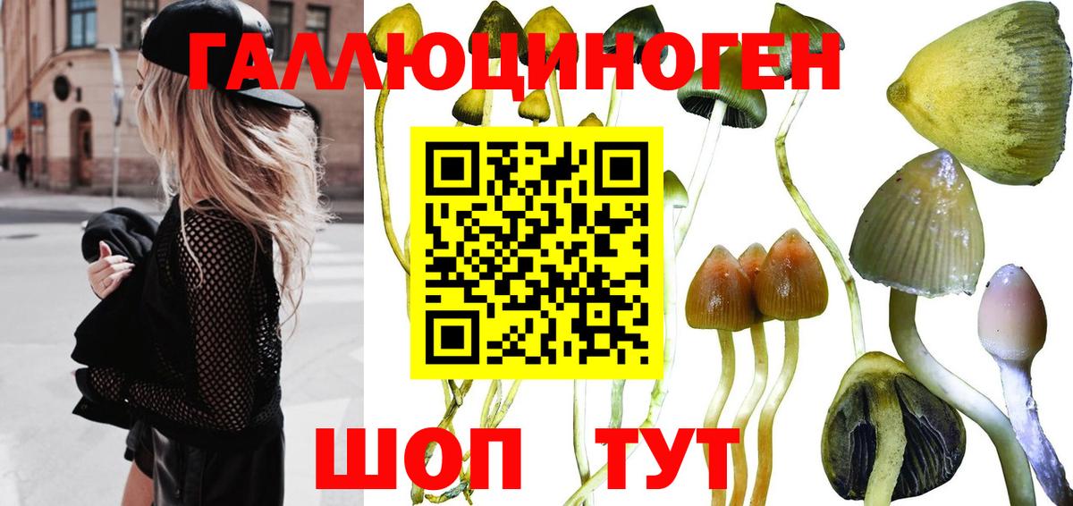 Галлюциногенные грибы мухоморы  Вход с VPN  Вичуга 